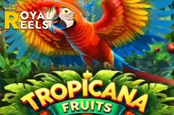 tropicana fruits